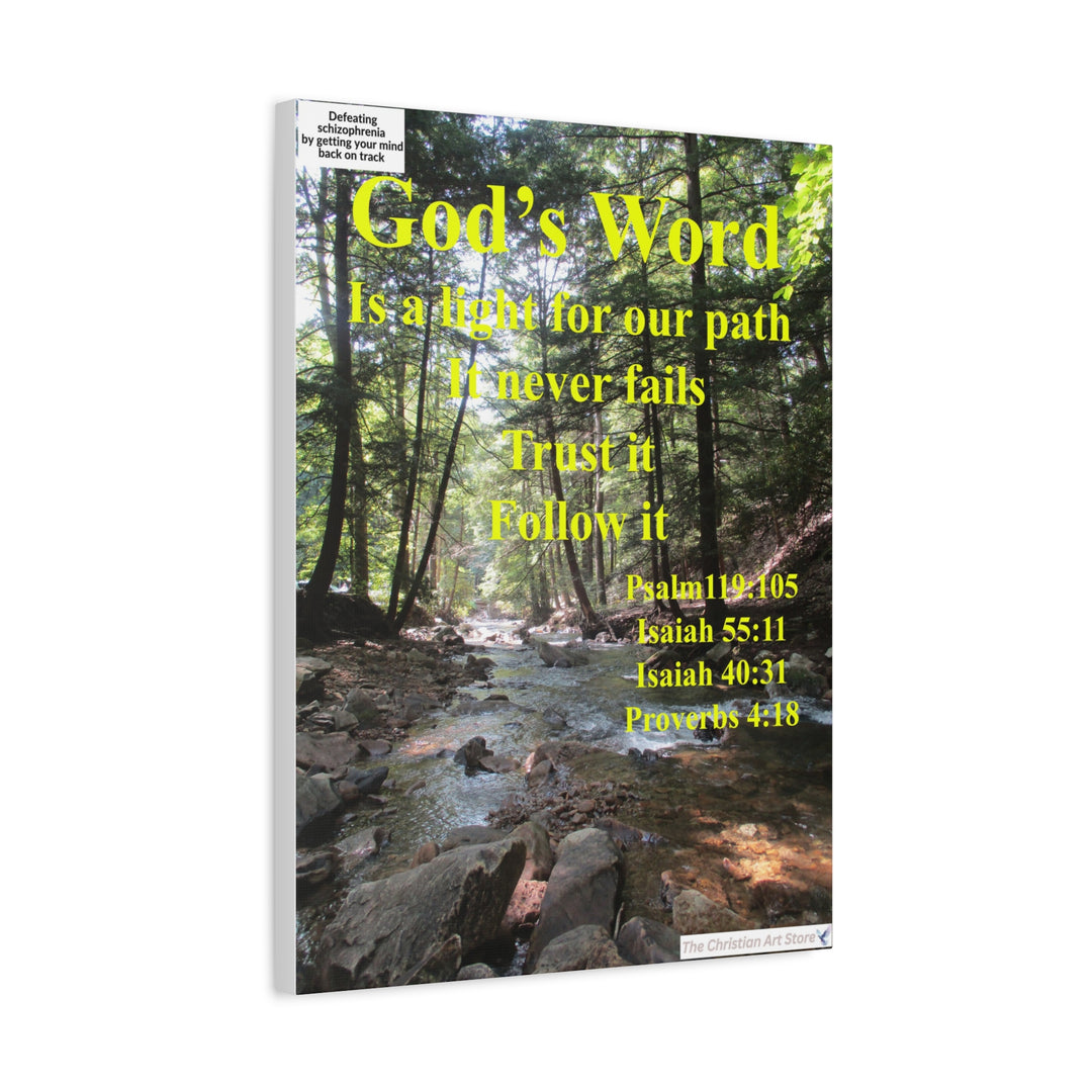 Defeating schizophrenia canvas