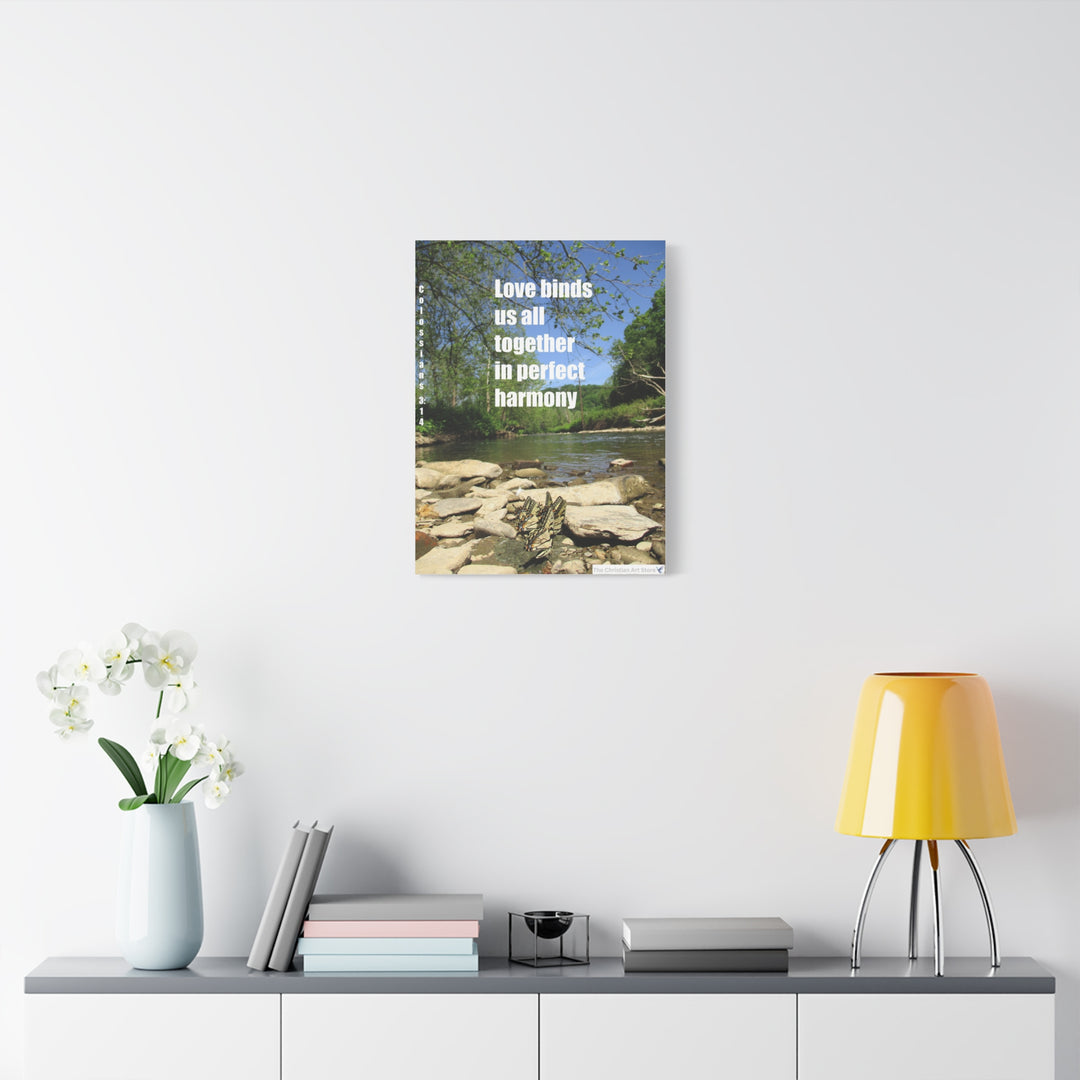 Colossians 3:14 Canvas