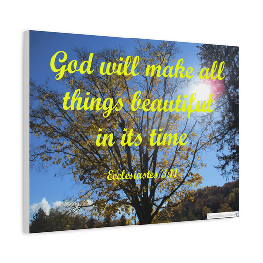 Ecclesiastes 3:11 Canvas