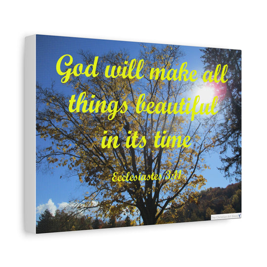 Ecclesiastes 3:11 Canvas