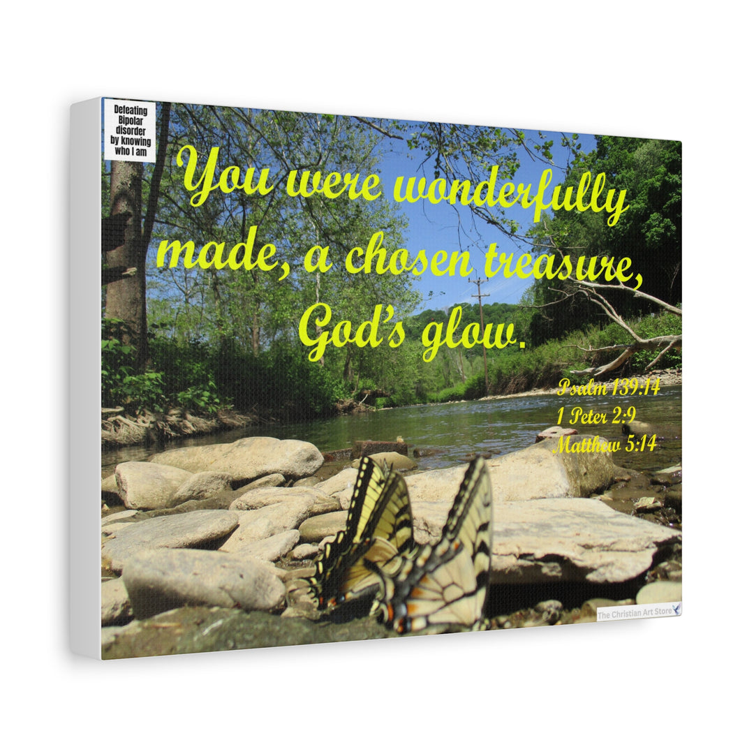 Defeating bipolar disorder canvas