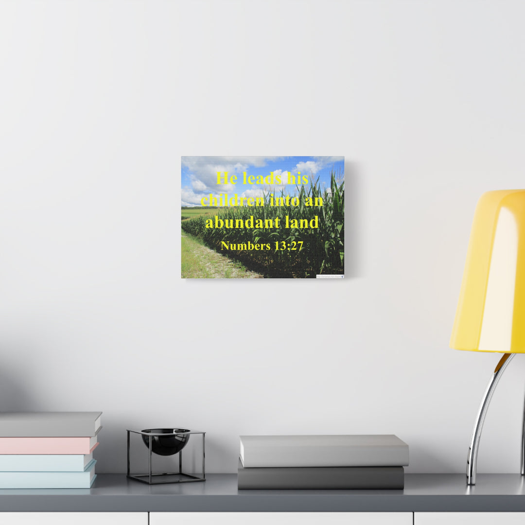 Numbers 13:27 Canvas