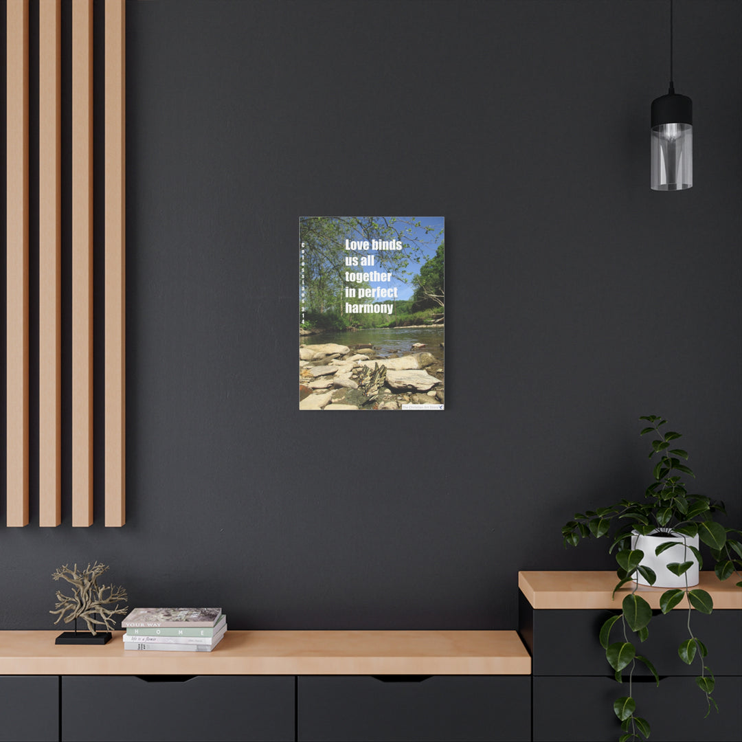 Colossians 3:14 Canvas