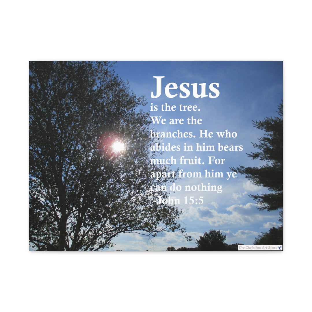 John 15:5 Canvas