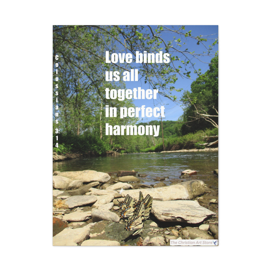 Colossians 3:14 Option 2 Canvas