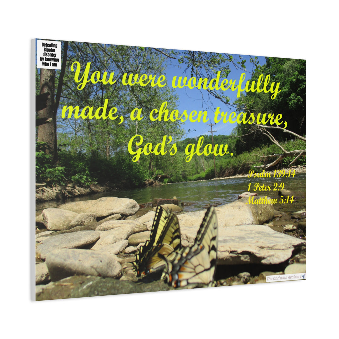 Defeating bipolar disorder canvas