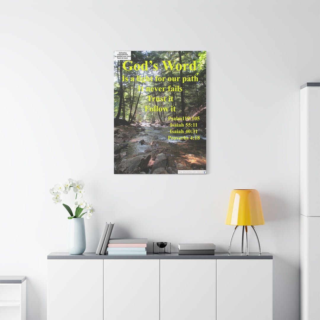 Defeating schizophrenia canvas