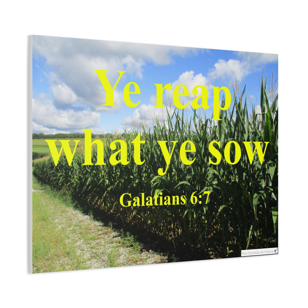 Galatians 6:7 Canvas