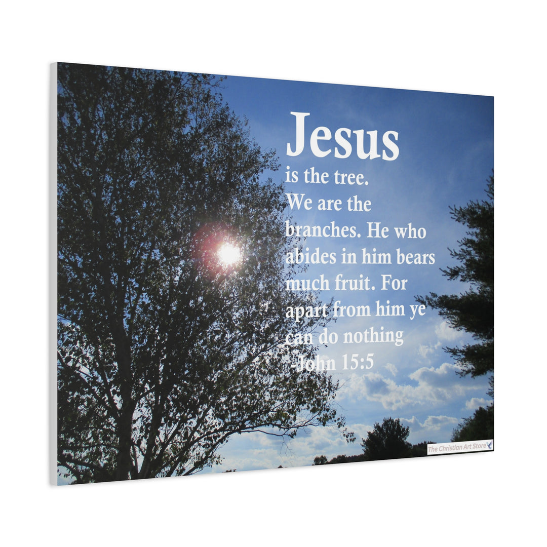 John 15:5 Canvas