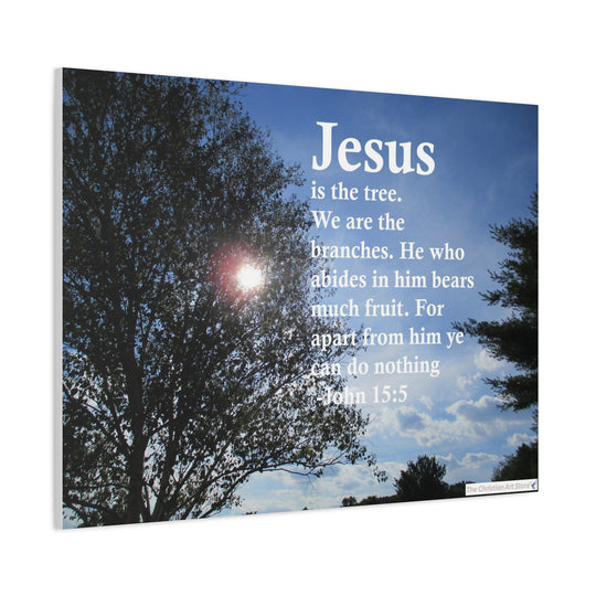 John 15:5 Canvas