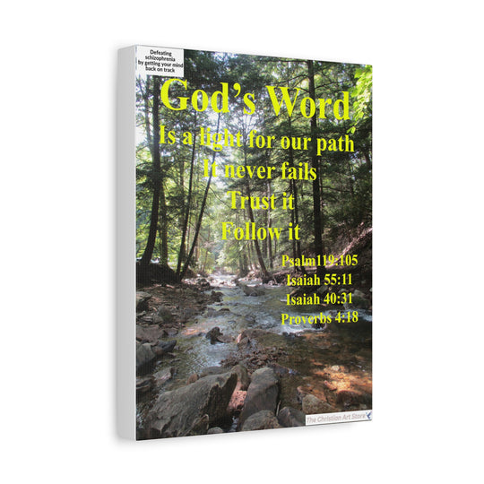 Defeating schizophrenia canvas