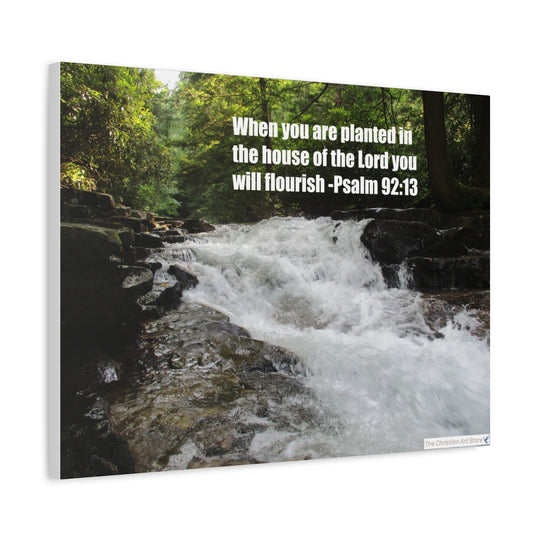 Psalm 92:13 Canvas