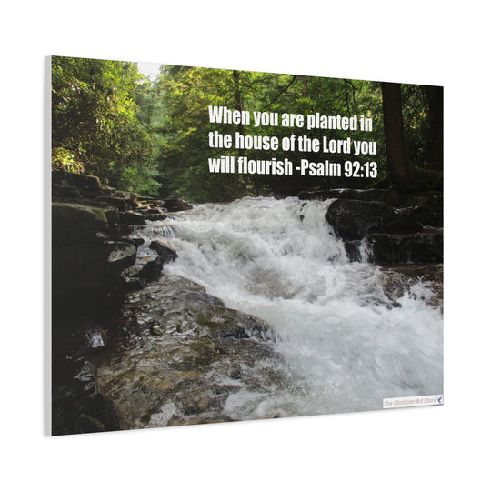Psalm 92:13 Canvas