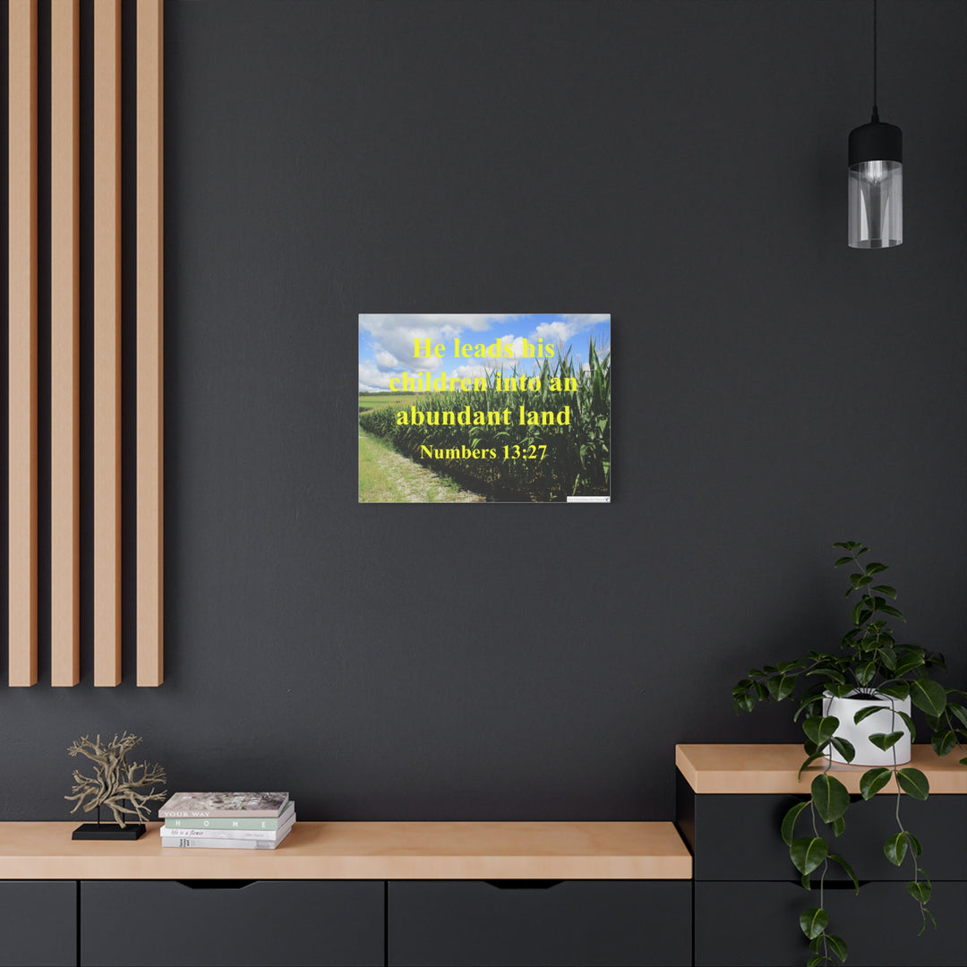 Numbers 13:27 Canvas