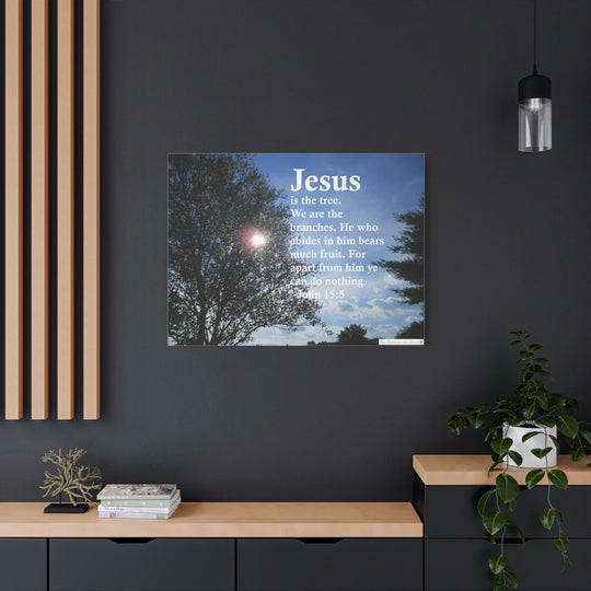 John 15:5 Canvas