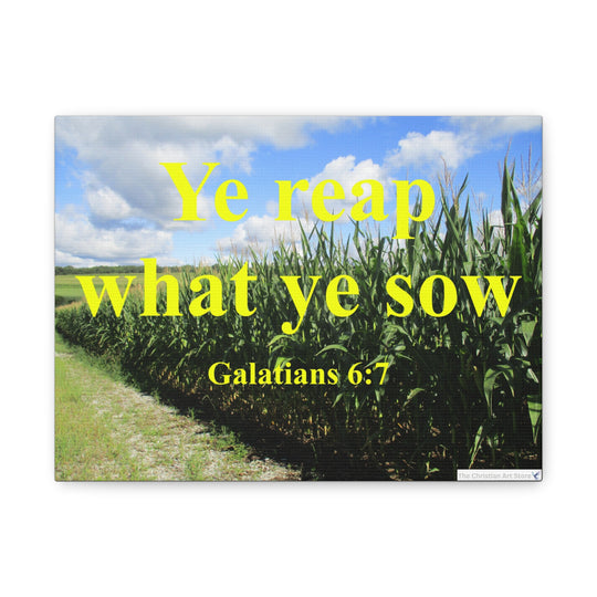 Galatians 6:7 Canvas