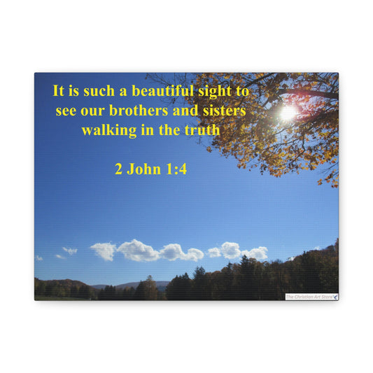 2 John 1:4 Canvas
