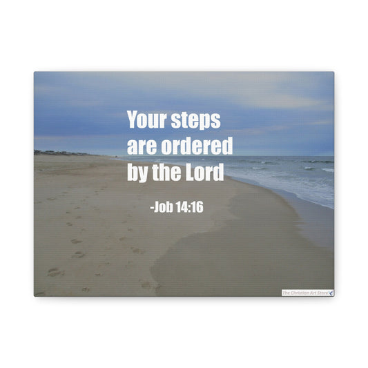 Job 14:16 Canvas
